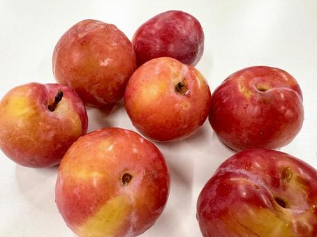 収穫したすもも 08 すもも,李,実の写真素材