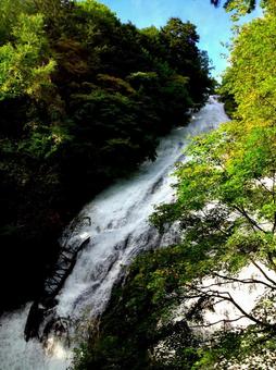 滝 滝の写真