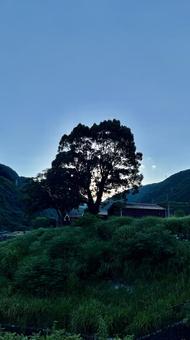 夕景 夕景の写真