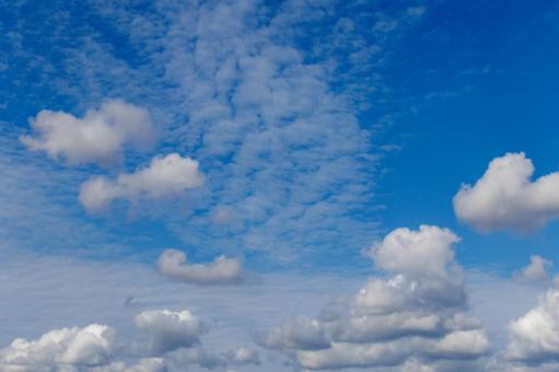 秋空になってきた青い空と白い雲 秋空になってきた青い空と白い雲 雲,空,風景の写真素材