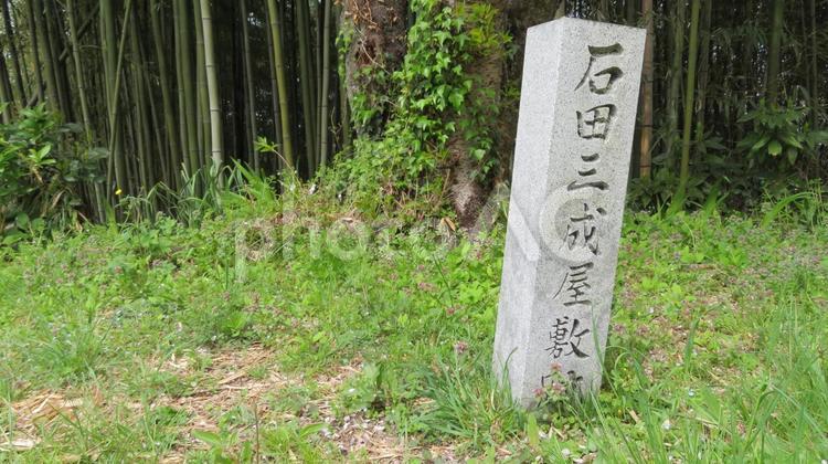 佐和山城　石田三成屋敷跡 佐和山城,連郭式,山城の写真素材