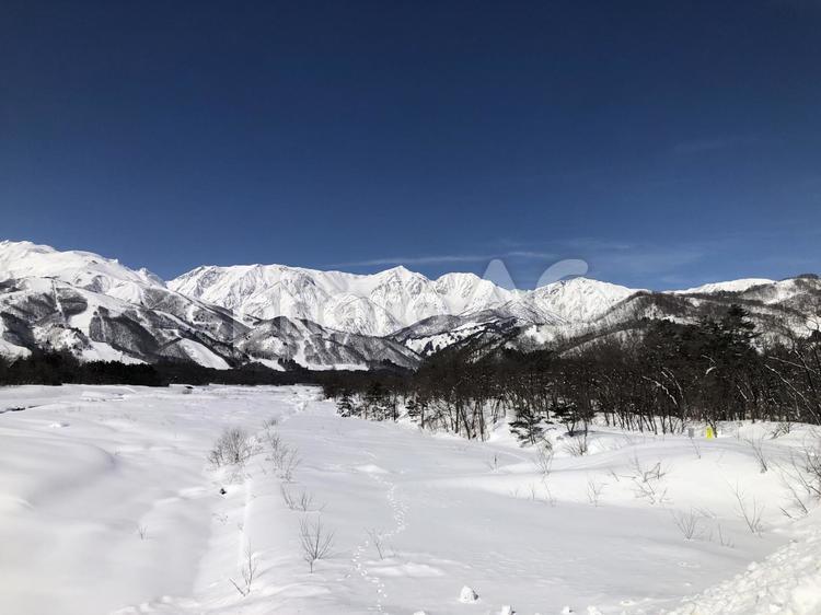 冠雪した北アルプスの山並み　長野県白馬村 冠雪,北アルプス,長野県の写真素材