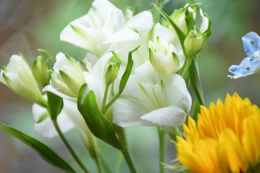 フラワーアレンジメント 2 フラワーアレンジメント 2 花,青い花,黄色い花の写真素材