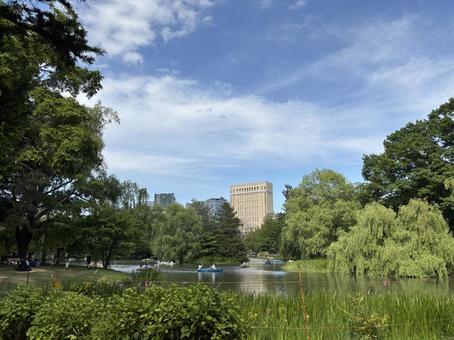 札幌中島公園の池のボート 札幌中島公園の池のボート 風景,空,きれいの写真素材