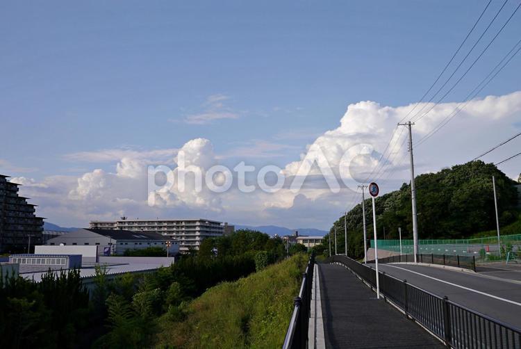 夏雲の見える丘の上の町 夏雲,白雲,夏空の写真素材