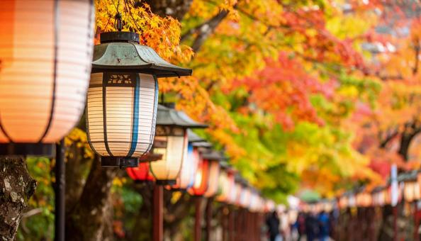 カラフルなたくさんの提灯 カラフルなたくさんの提灯の写真