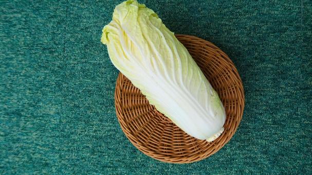 白菜 白菜の写真