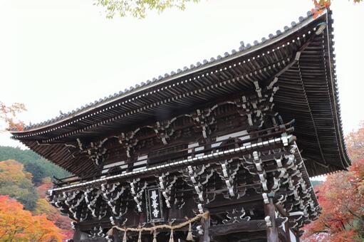 善峯寺　山門（楼門） 善峯寺,山門,楼門の写真素材