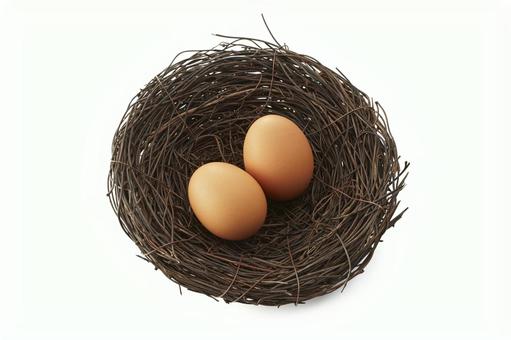 鳥の巣と玉子 鳥の巣と玉子 玉子,鳥の巣,2個の写真素材