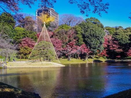 【東京都】文京区・小石川後楽園 【東京都】文京区・小石川後楽園 小石川後楽園,紅葉,水道橋の写真素材