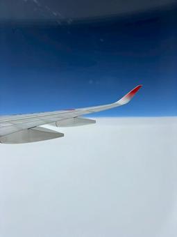 飛行機 飛行機の写真