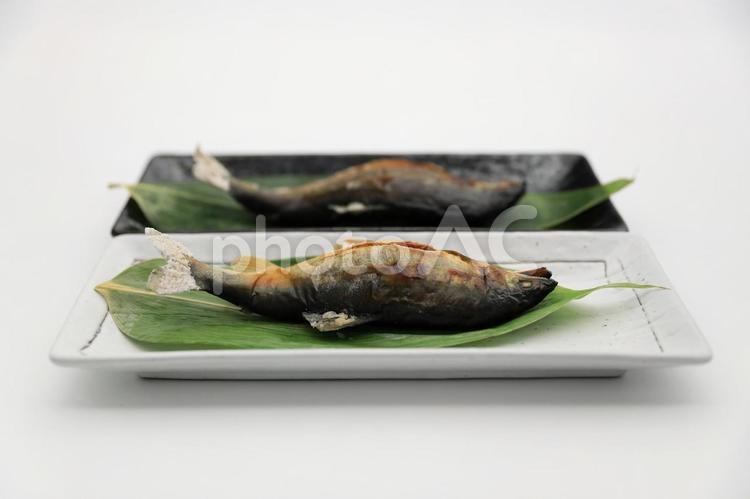 子持ち鮎の塩焼き2尾（山形県白鷹町産） 鮎,アユ,子持ち鮎の写真素材