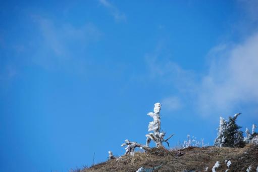 樹氷と青空 樹氷と青空の写真