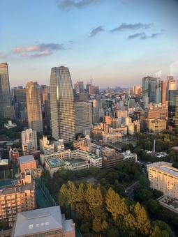 東京タワー 東京タワー 東京タワー,電波塔,展望台の写真素材