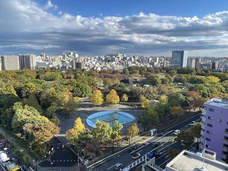 木場公園 都内,木場公園,木場の写真素材