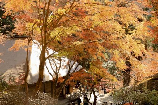室生寺 室生寺,金堂,女人高野の写真素材