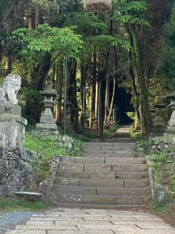 上色見熊野座神社5 上色見熊野座神社5 上色見熊野座神社,熊本県,高森町の写真素材