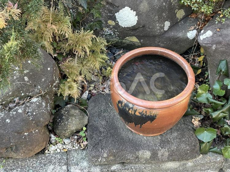 氷の張った瓶 氷,瓶,カメの写真素材