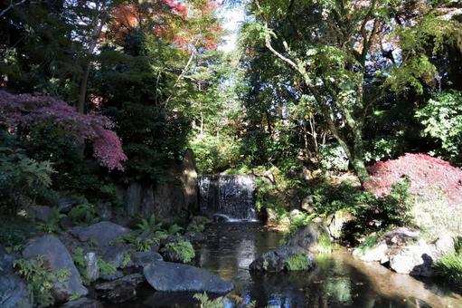 小石川後楽園の風景 小石川後楽園の風景の写真