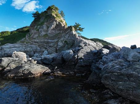 Photo, rhinophyma, cape, peninsula, 