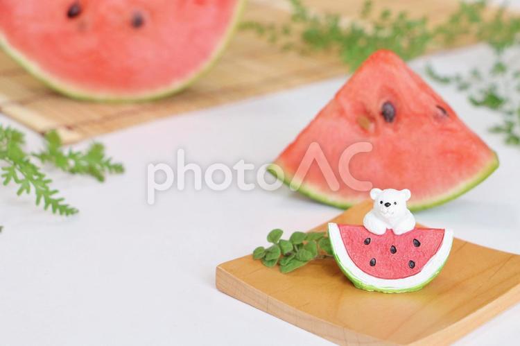 スイカと白クマくん 夏,スイカ,フレームの写真素材