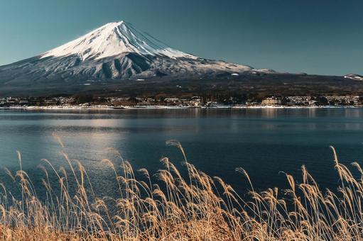 枯れ草の揺れる冬の河口湖と富士山 枯れ草の揺れる冬の河口湖と富士山 富士山,冬,河口湖の写真素材