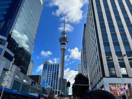 スカイタワー_オークランド スカイタワー_オークランドの写真