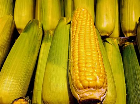 Photo, corn, sweet corn, cereals, 