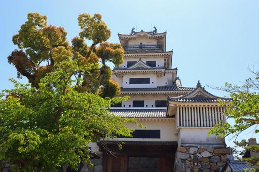 今治城を見上げる 今治城を見上げるの写真