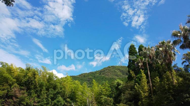 木と山が見える風景 木,緑,自然の写真素材
