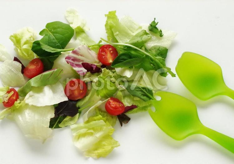 新鮮な野菜サラダと　サラダサーバー サラダ,野菜サラダ,食べ物の写真素材