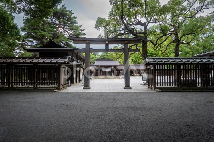 東京　明治神宮　東玉垣鳥居と東神門 明治神宮,神社,神宮の写真素材