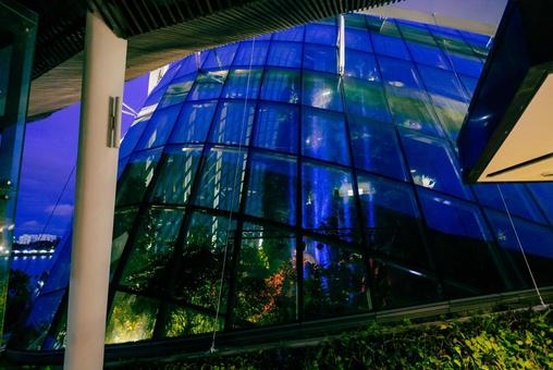 【シンガポール】ガーデンズバイザベイ シンガポール,ガーデンズバイザベイ,スーパーツリーの写真素材