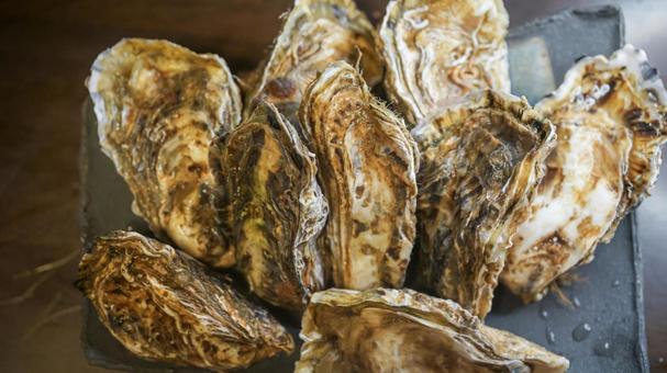 生牡蠣（食品.魚貝類） 生牡蠣,牡蠣,北海道の写真素材