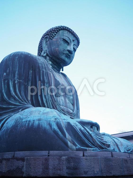鎌倉の大仏　夕暮れ 大仏,鎌倉,鎌倉の大仏の写真素材