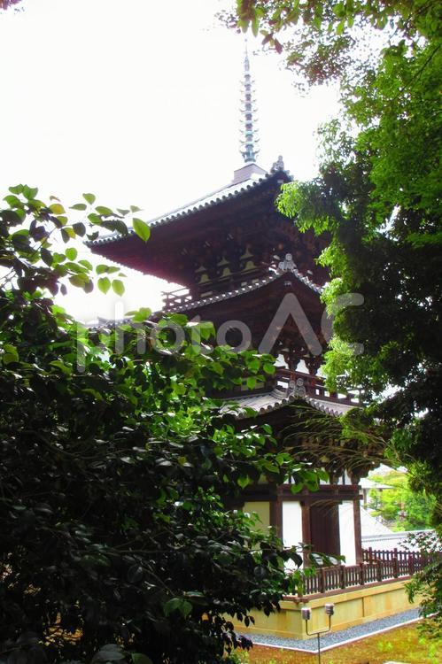 奈良県-當麻寺-国宝-西塔 當麻寺,寺,二上山の写真素材