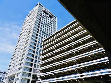 香川県庁2 香川県庁2 香川県,香川県庁,県庁の写真素材