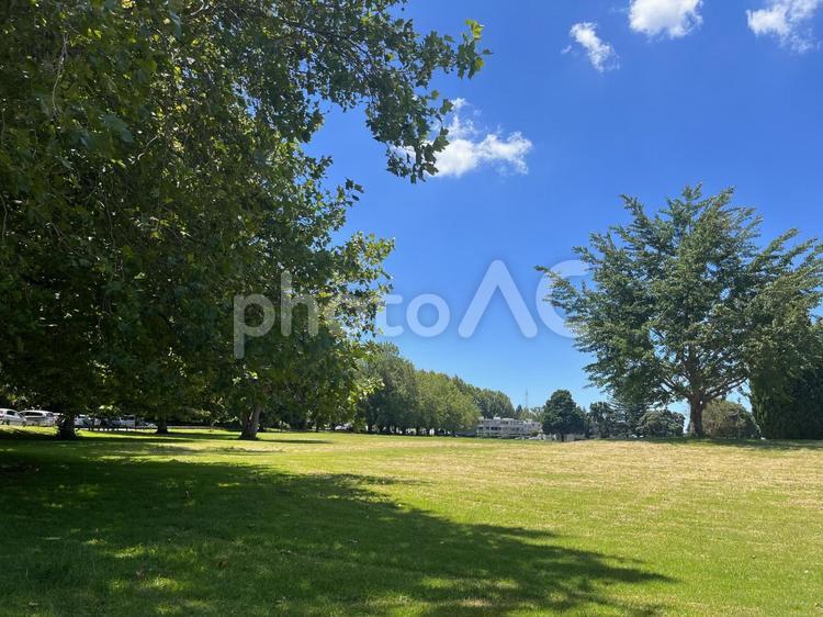 海外の広い芝生の公園 公園,夏,ニュージーランドの写真素材