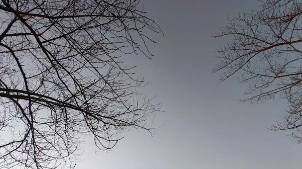 初冬の夕暮れ時（暗め） 秋,冬,初冬の写真素材