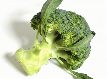 ブロッコリー ブロッコリー,野菜,食べ物の写真素材