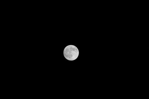月 月 十五夜,月,お月様の写真素材