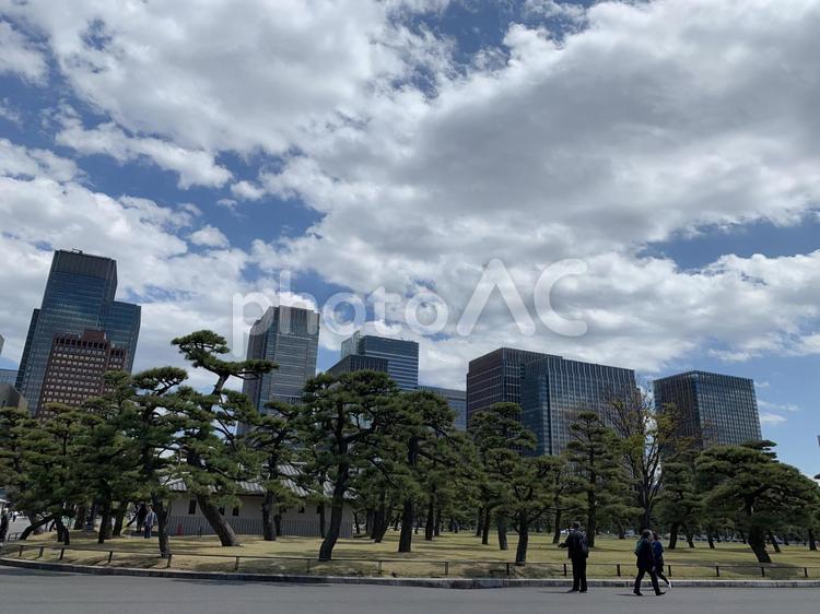 東京・丸の内のビル群２ 都会,ビル群,青空の写真素材