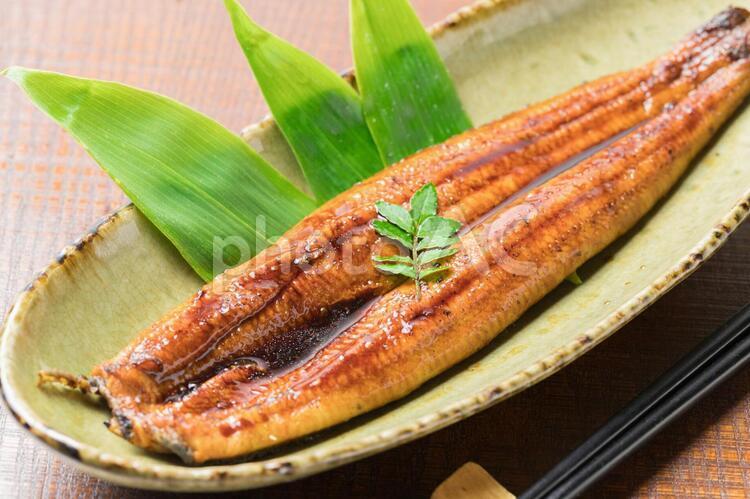 国産うなぎの蒲焼き うなぎ,鰻,蒲焼の写真素材