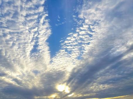 朝日を浴びるうろこ雲 朝日を浴びるうろこ雲の写真