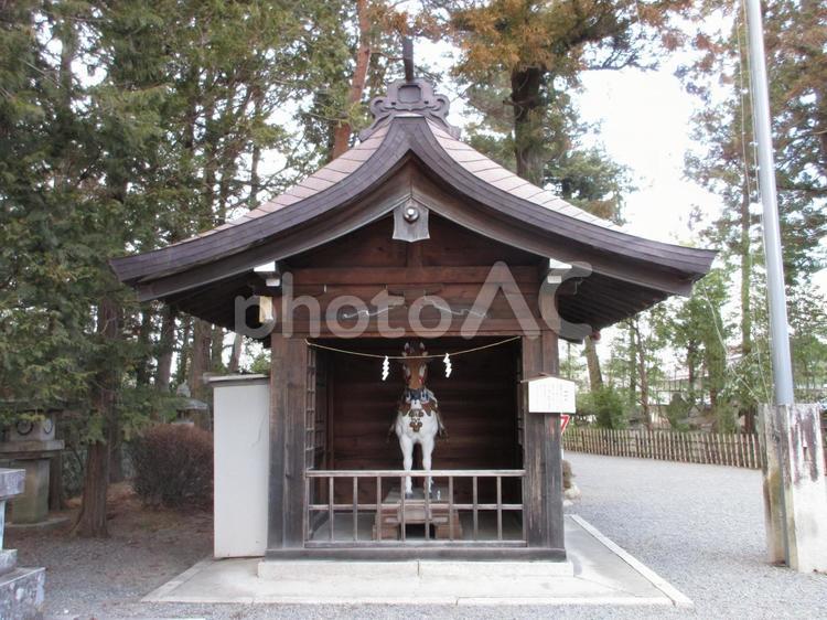 長野県-穂高神社-神馬舎 穂高神社,神社,信濃国の写真素材