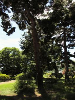 長野県-信濃国分寺跡史跡公園 長野県-信濃国分寺跡史跡公園の写真