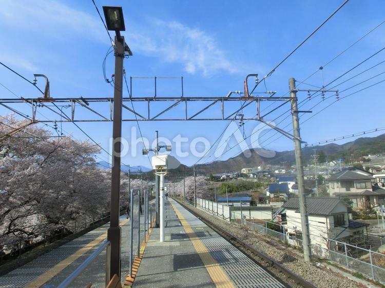春の日の風景 桜,鉄道,中央線の写真素材