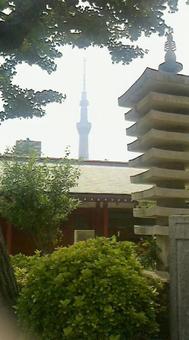 東京スカイツリー 東京スカイツリーの写真
