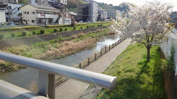 橋からの眺め 橋からの眺め 風景,住宅街,景色の写真素材
