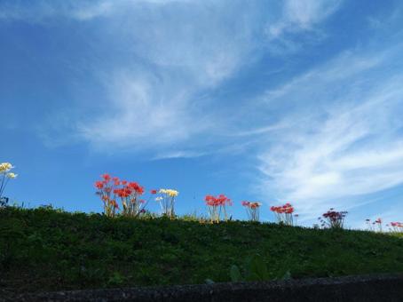 秋色の空 彼岸花,秋,秋色の写真素材